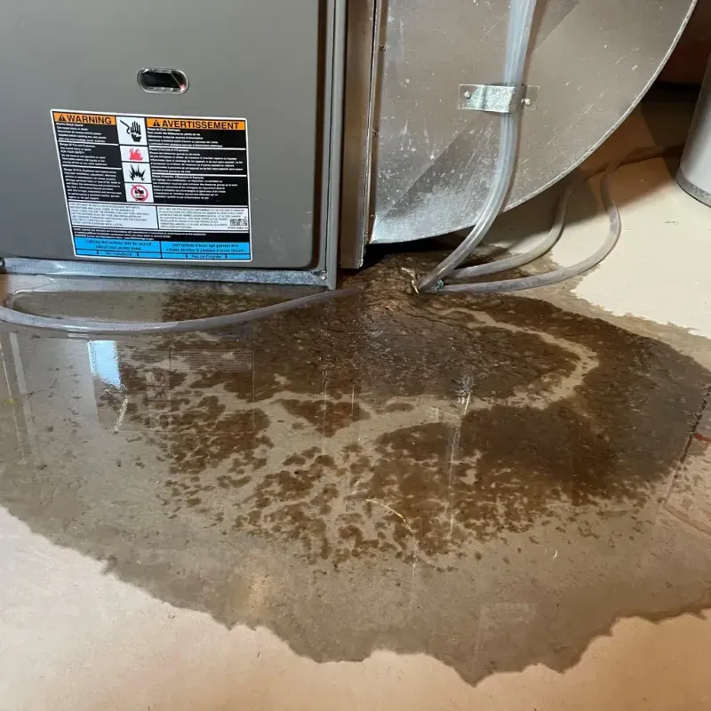 Appliance Leak Cleanup in Ravenna, NE